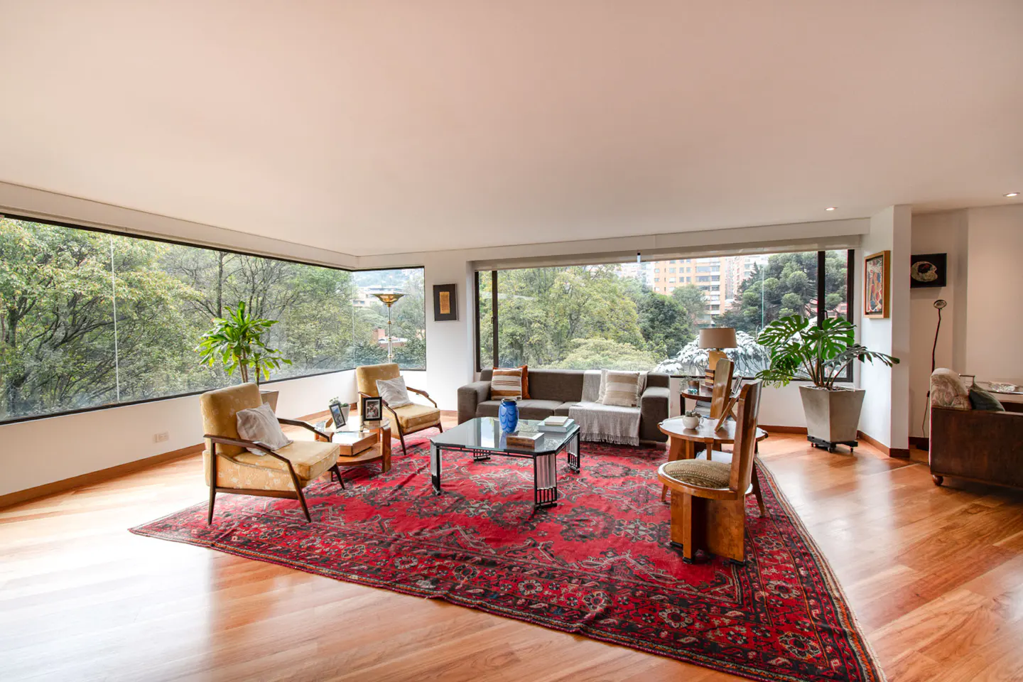 Bright living room with hardwood floors, a red patterned rug, and a gray sofa. Large windows offer a view of lush green trees.