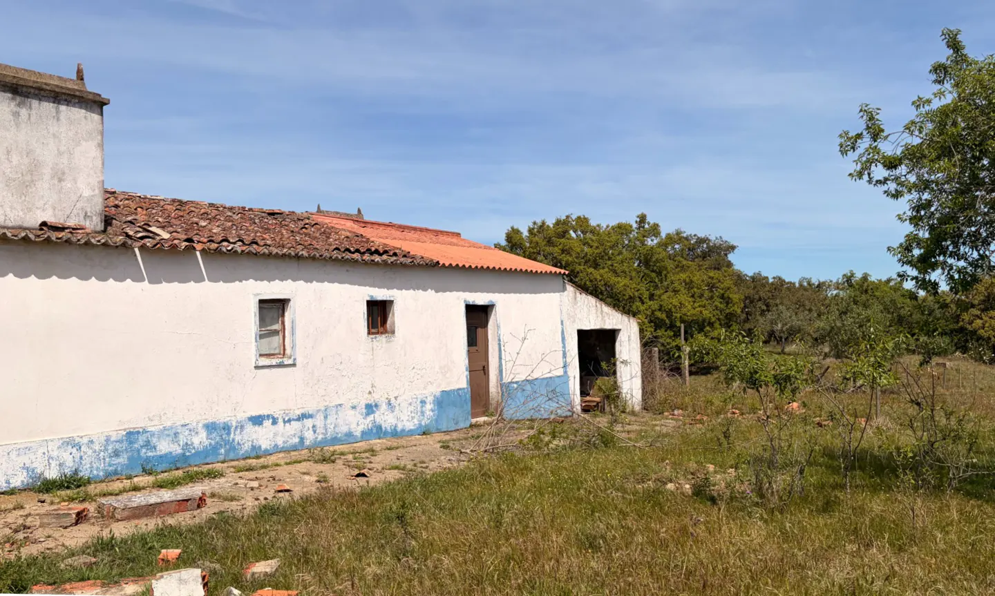 Exterior of a white, blue-trimmed building with a red tile roof, set in a grassy field with trees under a blue sky.