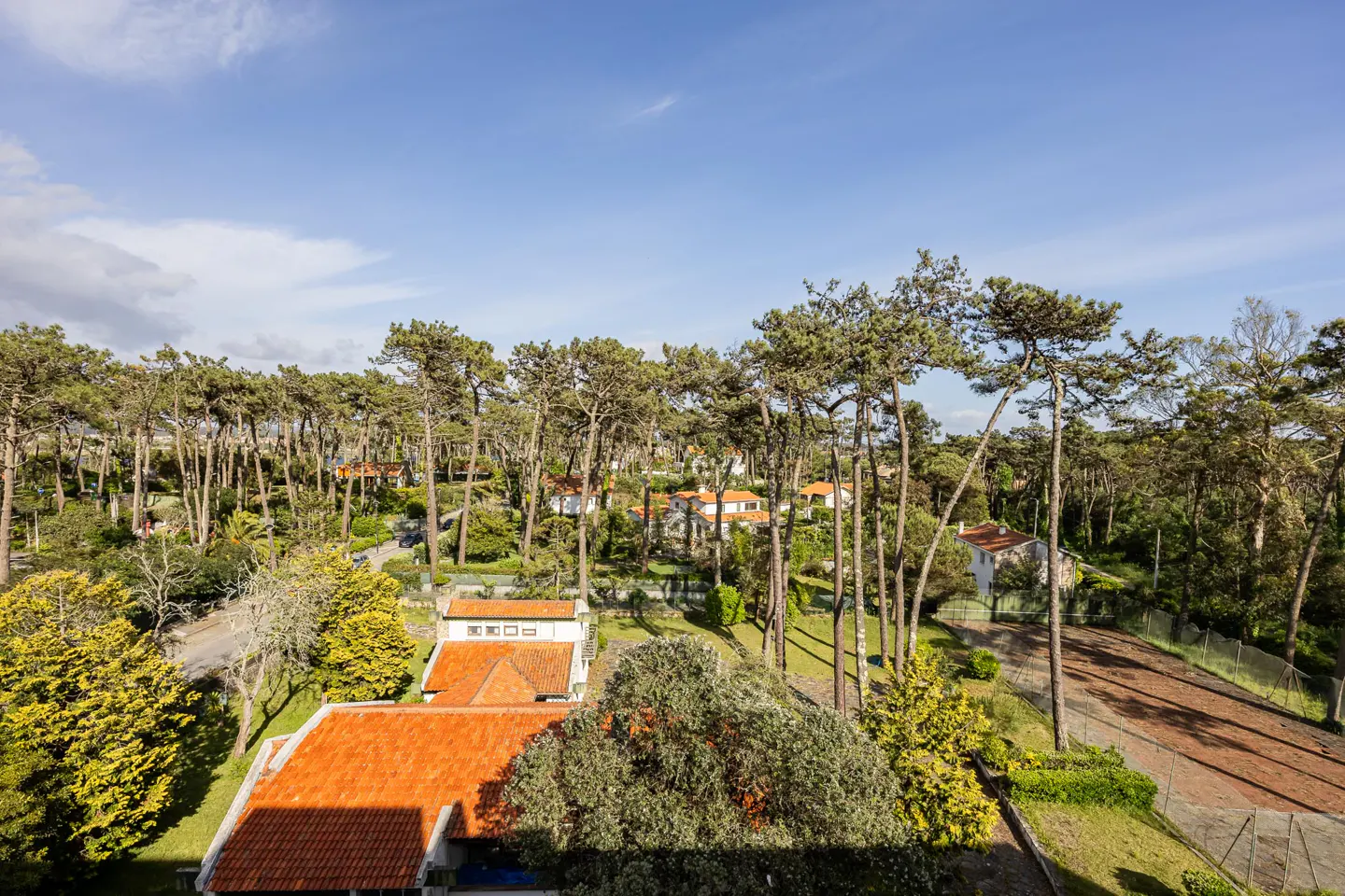 View of houses with orange tile roofs nestled among tall pine trees under a blue sky.