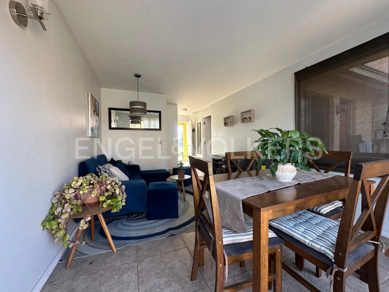Living and dining area with a blue sofa, wooden table and chairs, and plants. The walls are white, and there is a yellow door in the background.