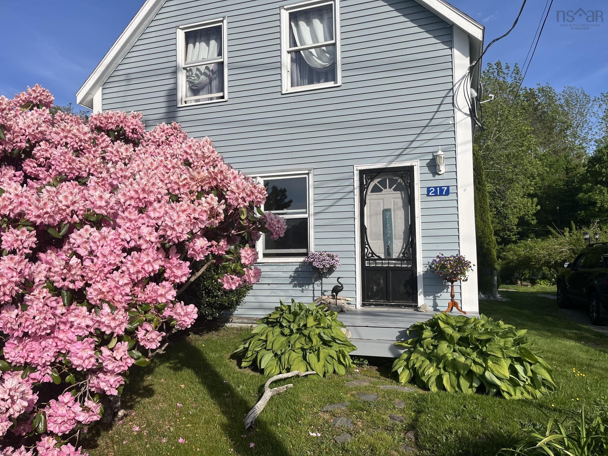 Welcome to 217 Waterloo Street