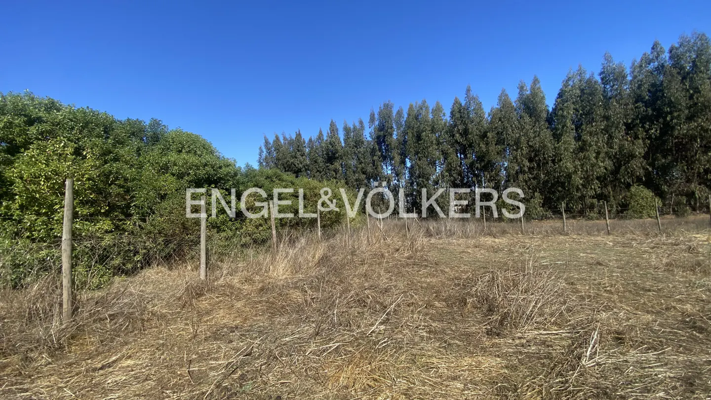 A grassy field with a fence line, trees, and a clear blue sky. The Engel & Volkers logo is superimposed on the image.