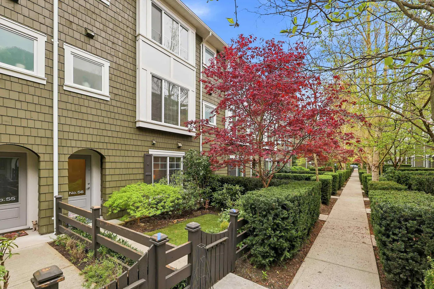 Exterior view of a townhouse with olive green shingles, white trim, and a red tree. A walkway is lined with trimmed hedges.