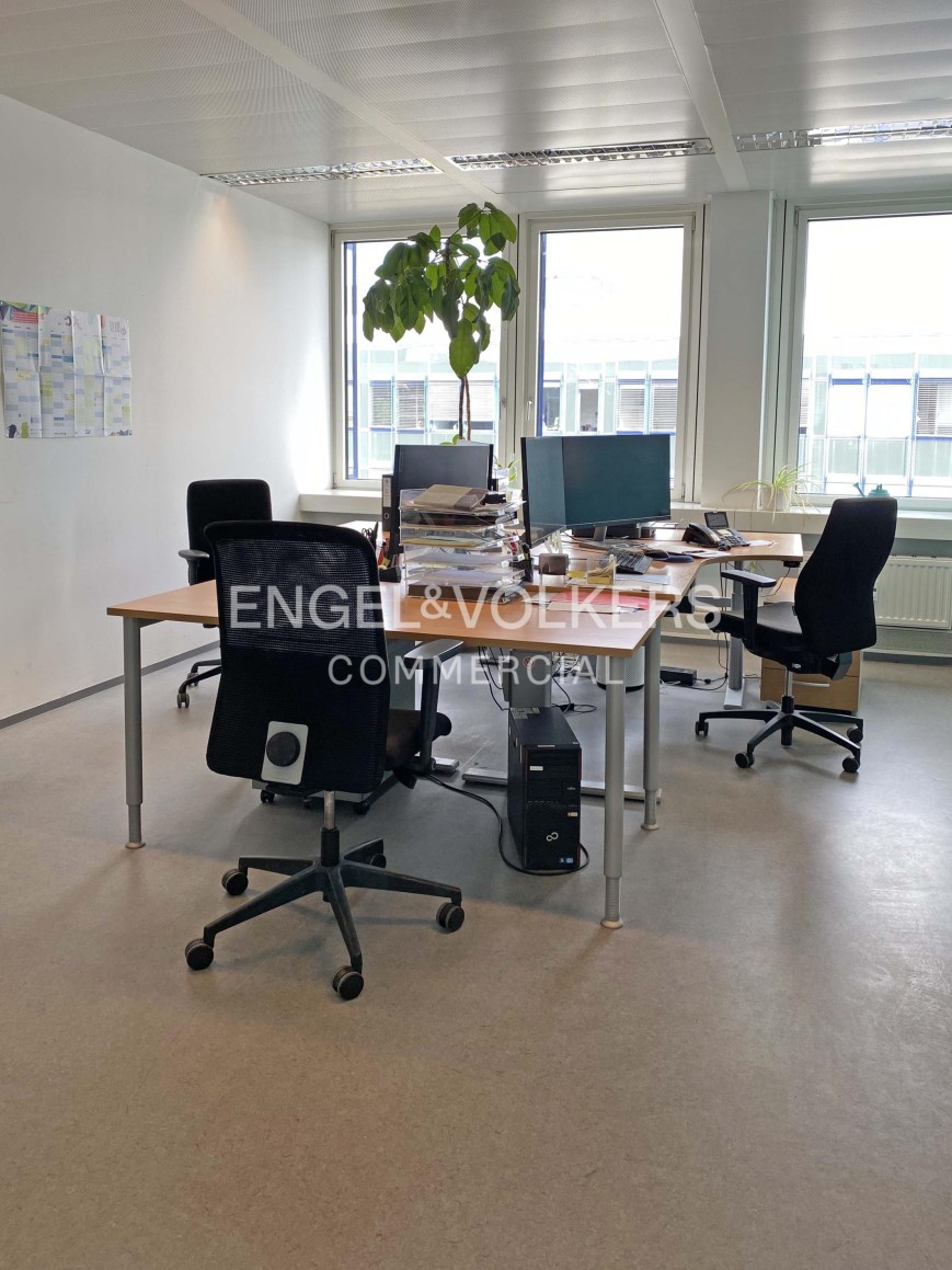 Modern office with L-shaped desks, black ergonomic chairs, computer monitors, and a large potted plant by bright windows. [AI-generated text]