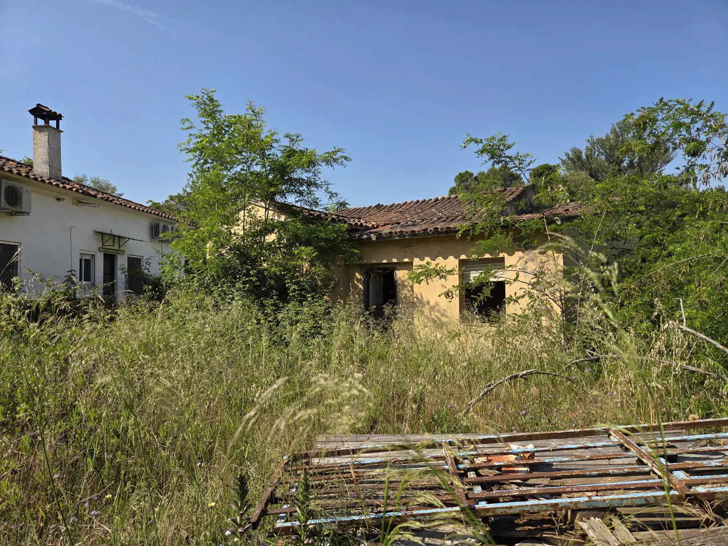 Overgrown property with a white and yellow building, broken windows, and a rusty metal frame in the foreground. Tall grass and trees surround the structure.