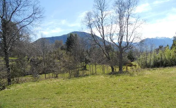 Green field with trees and mountains in the background under a blue sky with white clouds.