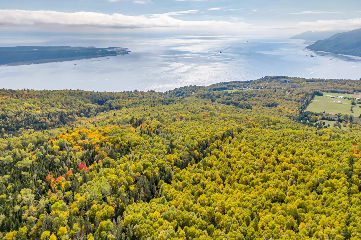Aerial view of a dense forest with fall foliage, overlooking a blue ocean and islands under a cloudy sky.