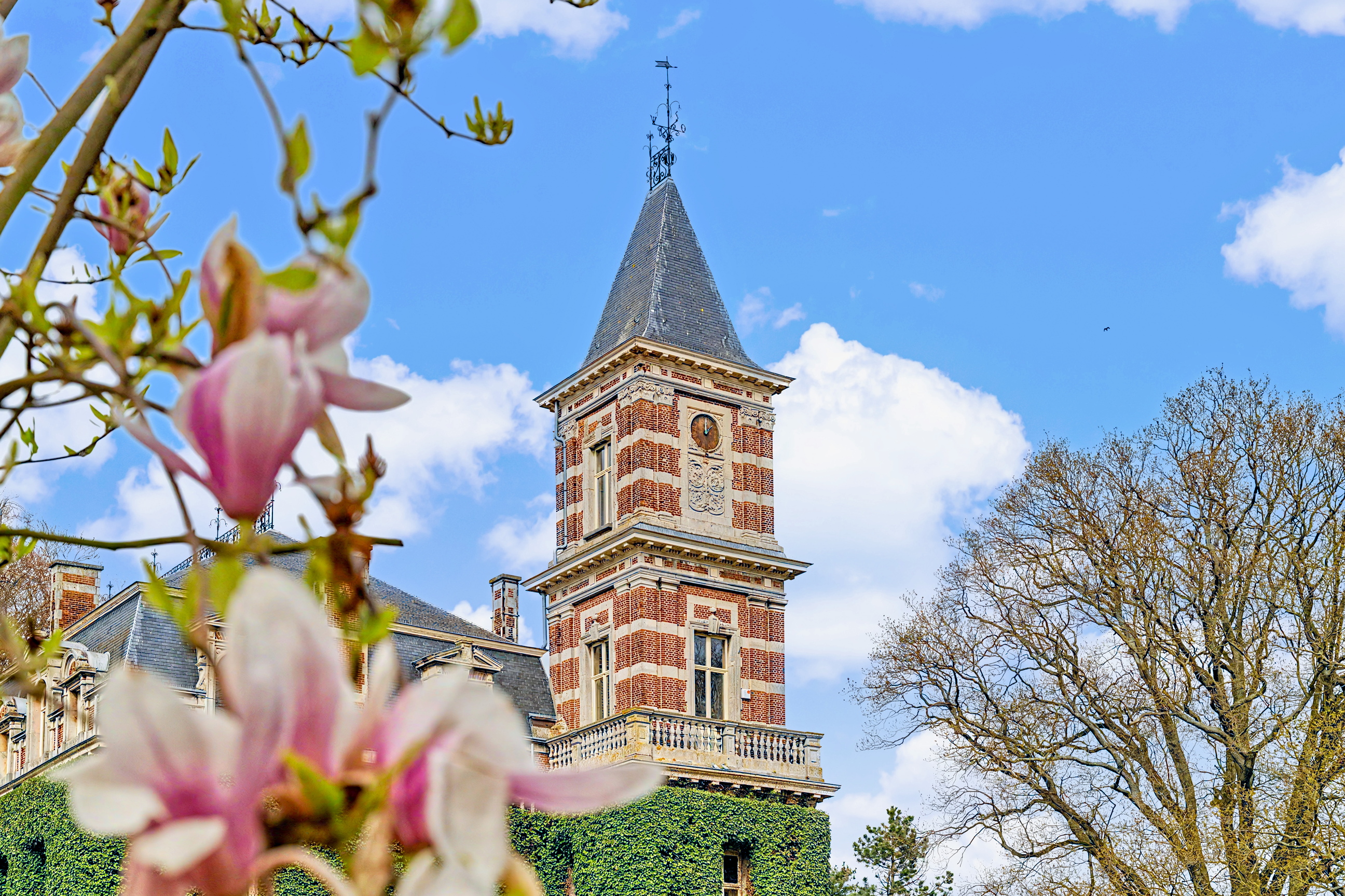 Castle in Heusden