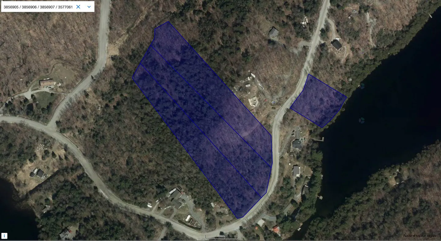 Aerial view of wooded land parcels outlined in blue, near a road and lake.