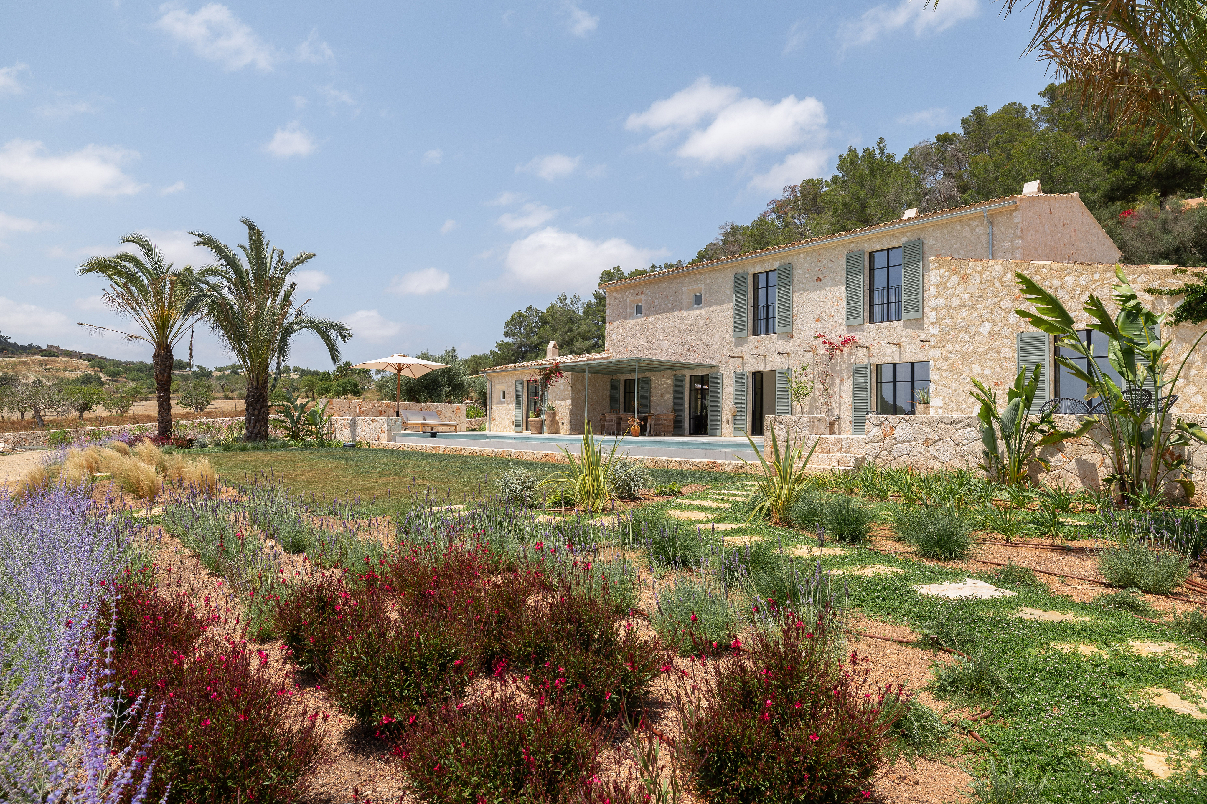 Modern newly built country house with vineyard