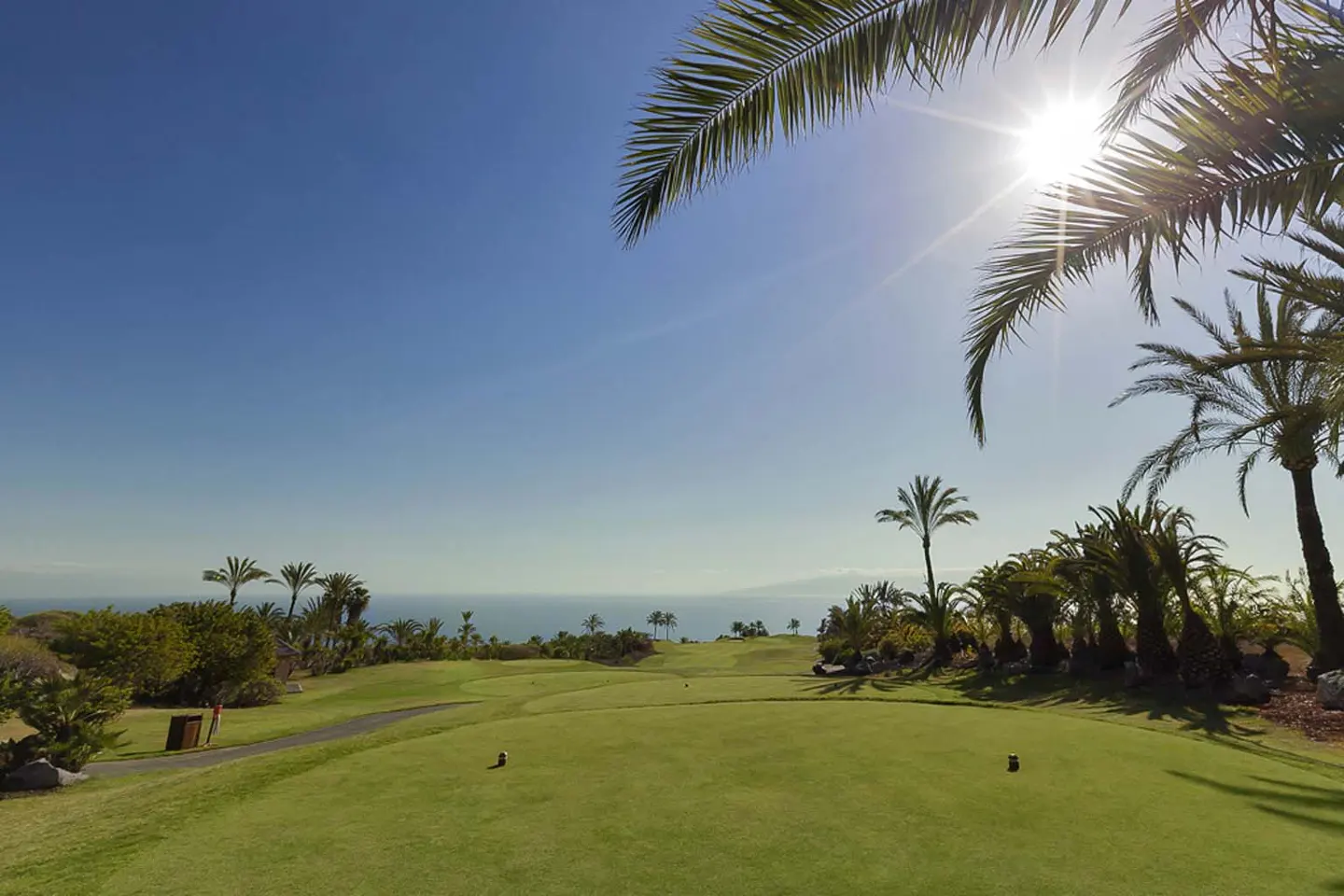 Scenic golf course view with green grass, palm trees, blue sky, and ocean in the background.