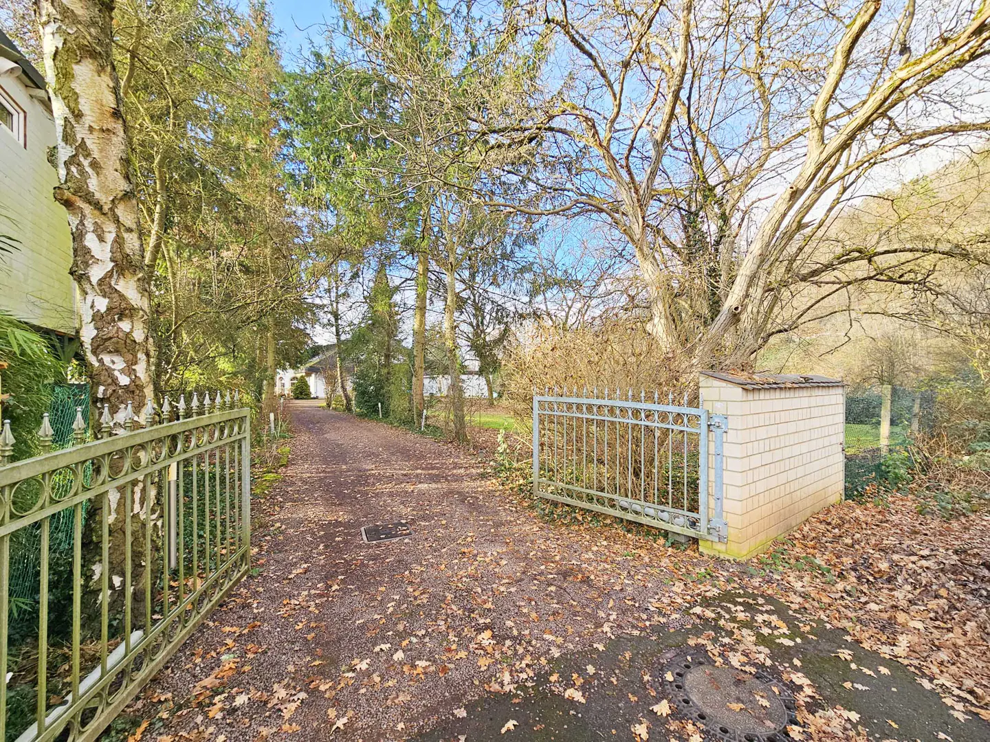 Gravel driveway leads to a white house, framed by trees and an open metal gate. Fallen leaves cover the ground.