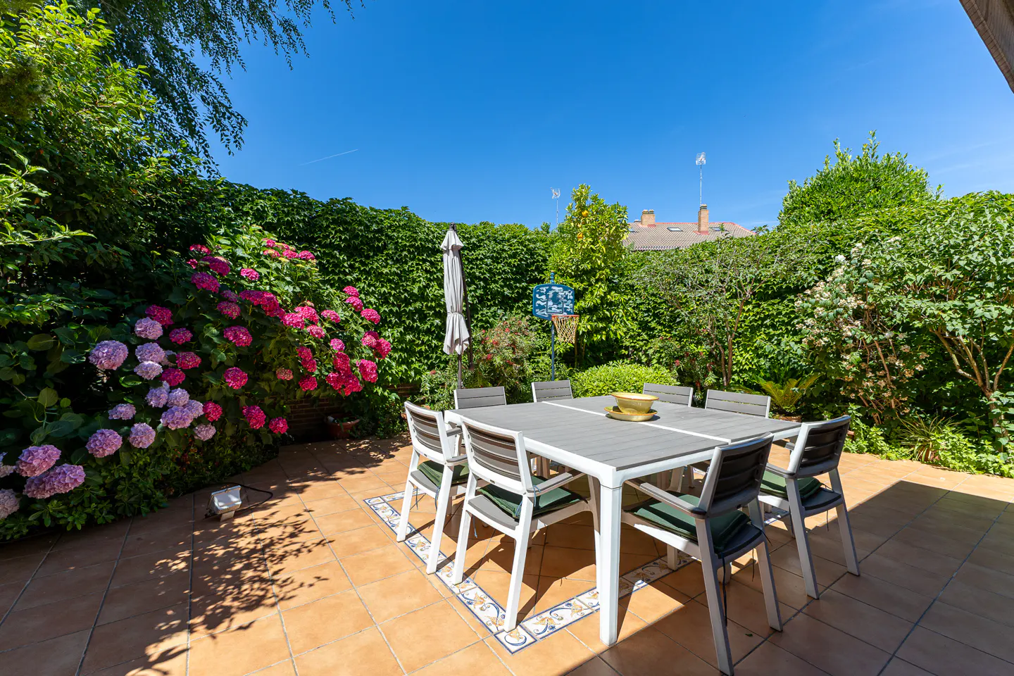 A sunny patio with a dining table and chairs, surrounded by lush green hedges and vibrant pink hydrangea bushes.