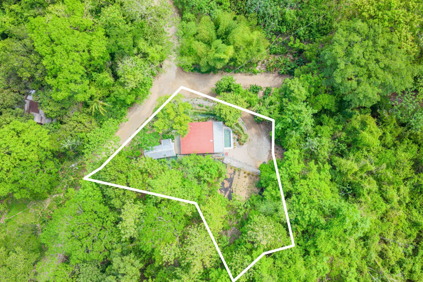 Aerial view of a property with a red-roofed house and pool, surrounded by lush green trees and marked by a white boundary line.