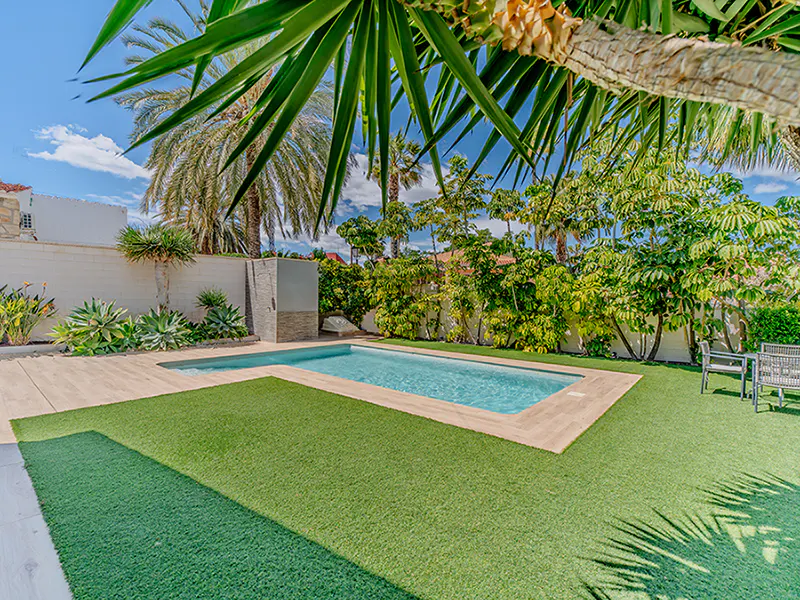 A backyard pool with turquoise water is surrounded by green grass and lush tropical plants. A white wall borders the yard.