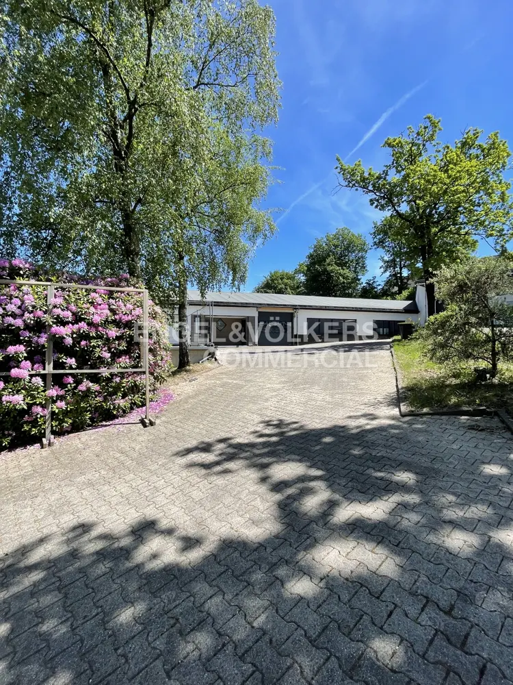 A paved driveway leads to a low-profile commercial building surrounded by lush green trees and blooming pink rhododendrons.