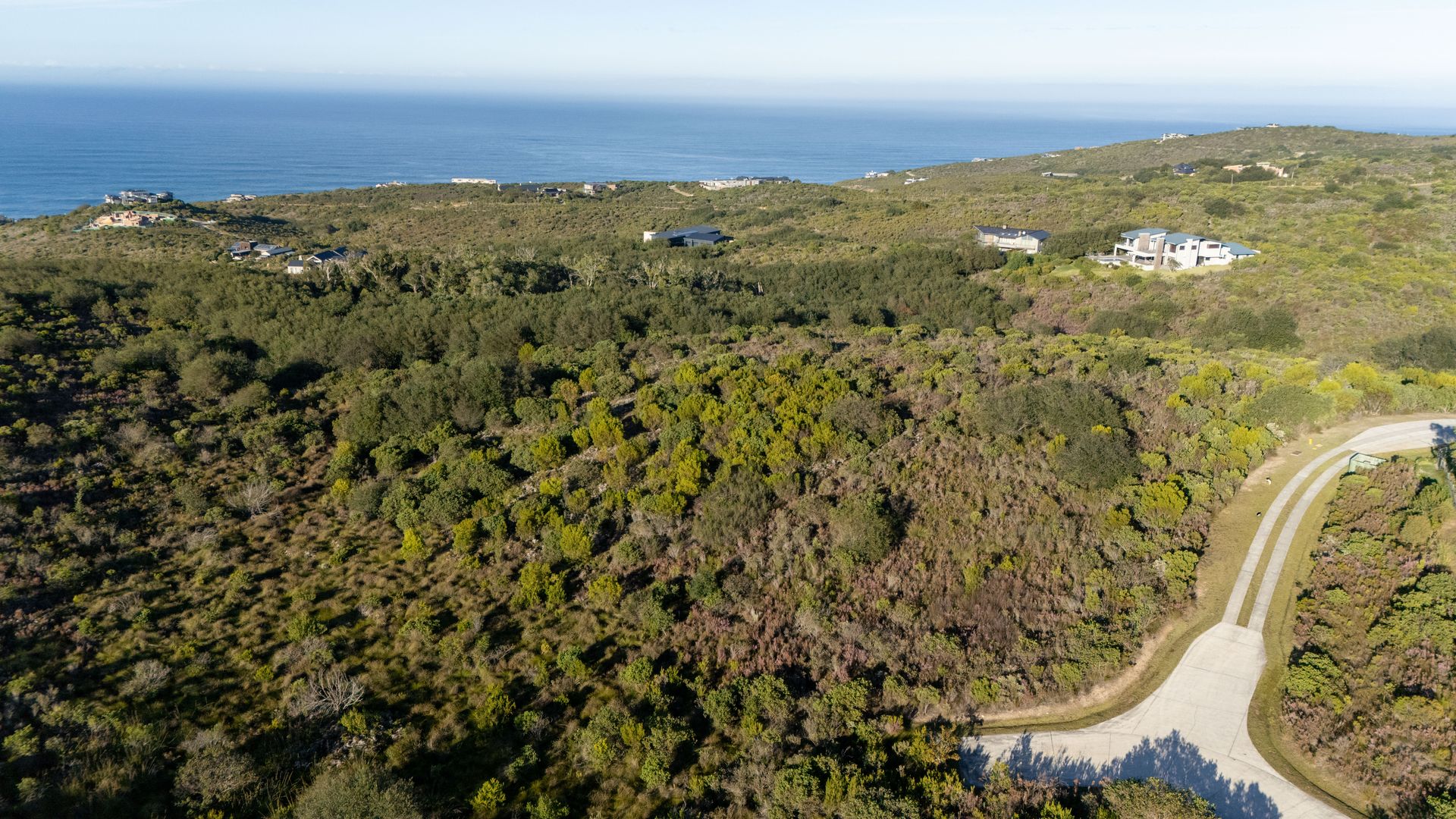 Exceptional Coastal Stand Offering Privacy and Open Views