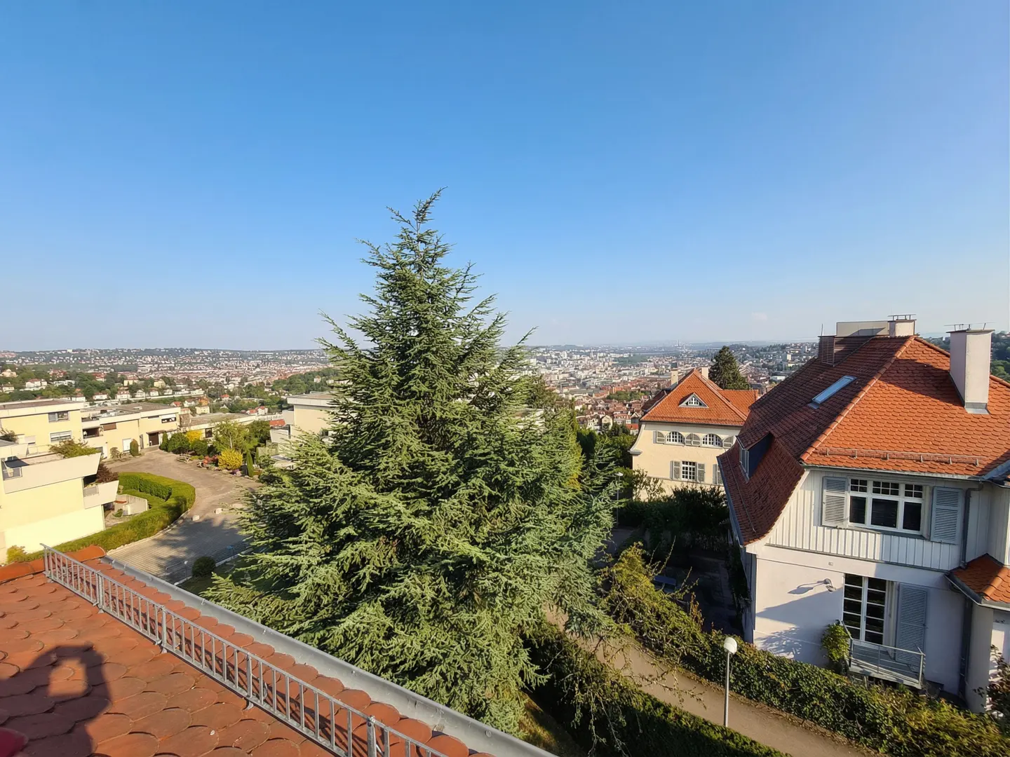 View from a rooftop with a metal railing, overlooking a city skyline, houses with orange roofs, and a large green tree.
