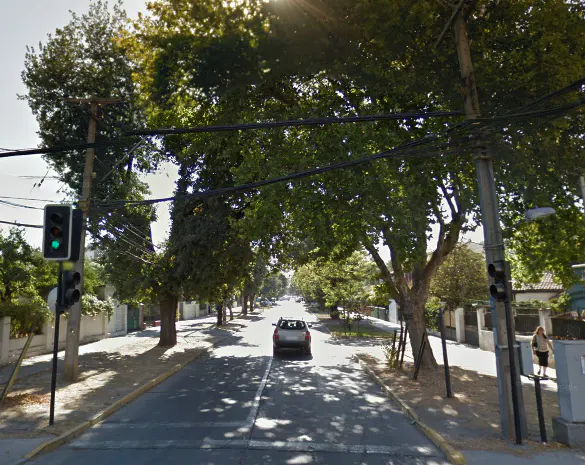 Street view of a tree-lined road with a silver car driving away. Green traffic light is visible on the left.