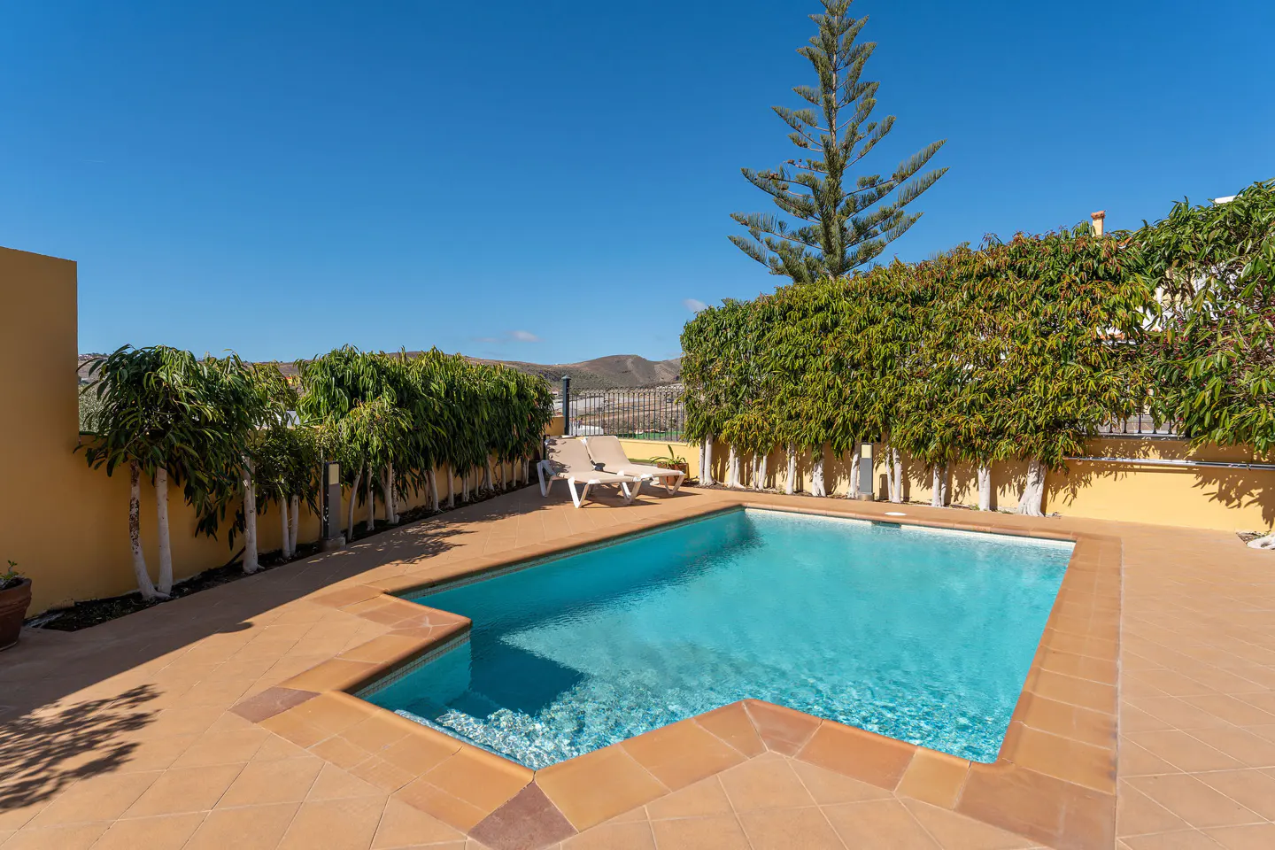 Outdoor pool with clear blue water, surrounded by tan tile, green hedges, and trees under a bright blue sky.