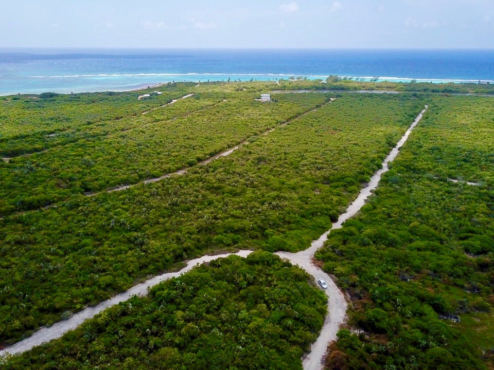 LITTLE CAYMAN Lot, Buy a piece of land in Paradise!