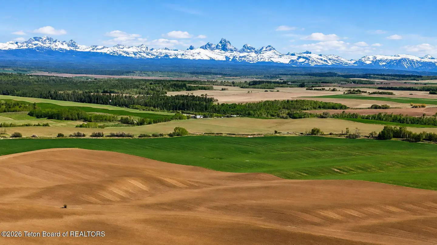 Scenic view of green and brown fields under a blue sky, with snow-capped mountains in the distance.