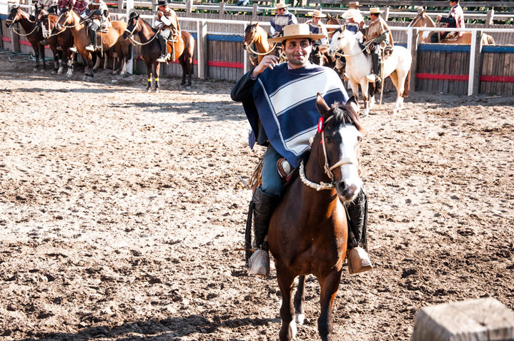 Criadero de caballos y club ecuestre