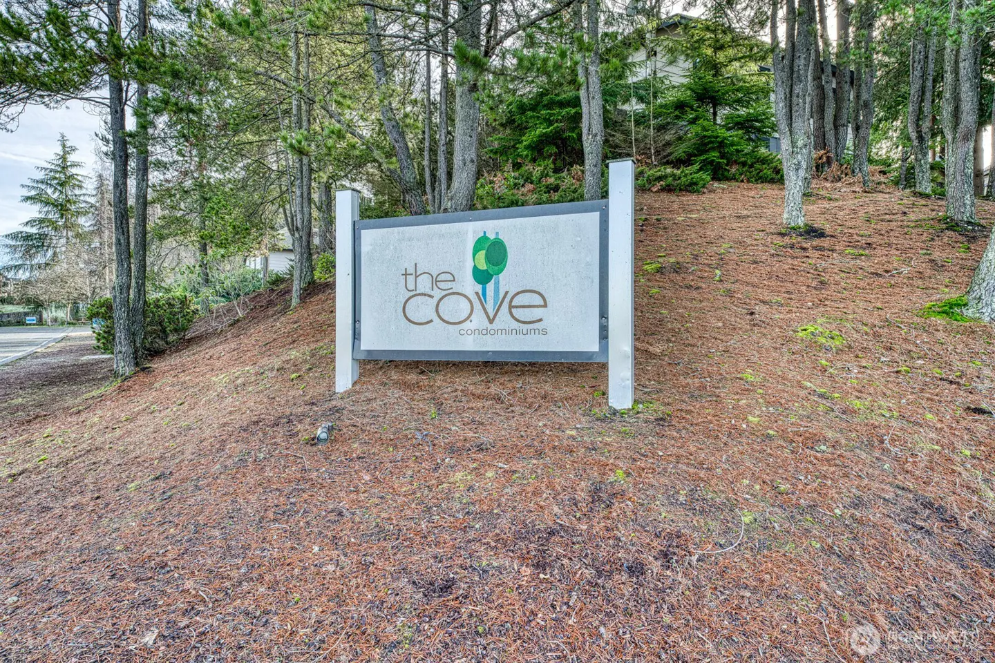 Sign for "the Cove condominiums" on a hill covered in pine needles, surrounded by trees.