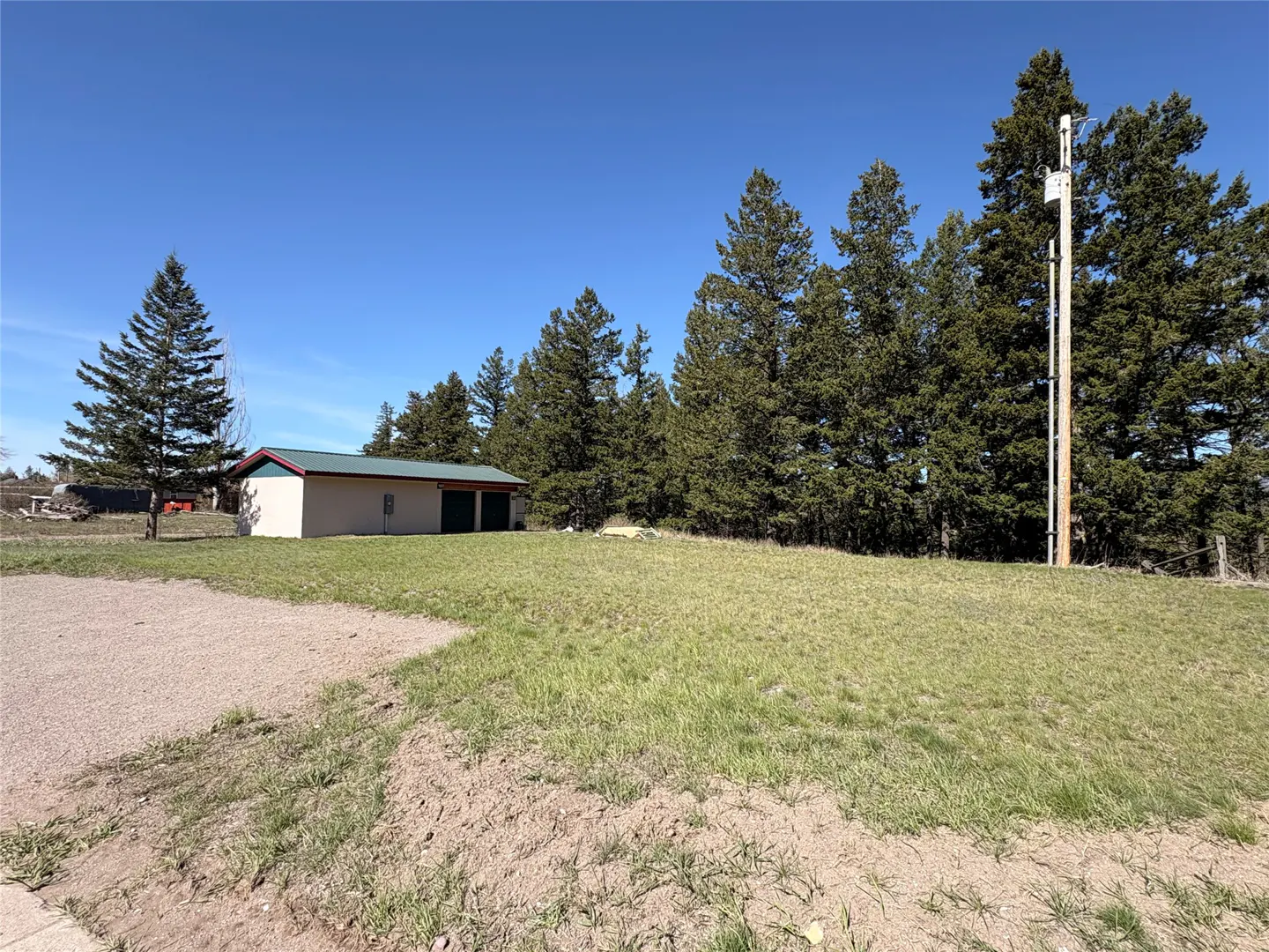 A grassy lot with a small beige building, green roof, and tall pine trees under a clear blue sky.