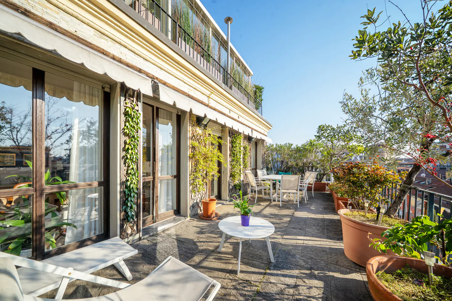 A sunny rooftop terrace with lounge chairs, a table, and potted plants. Ivy climbs the building's exterior.