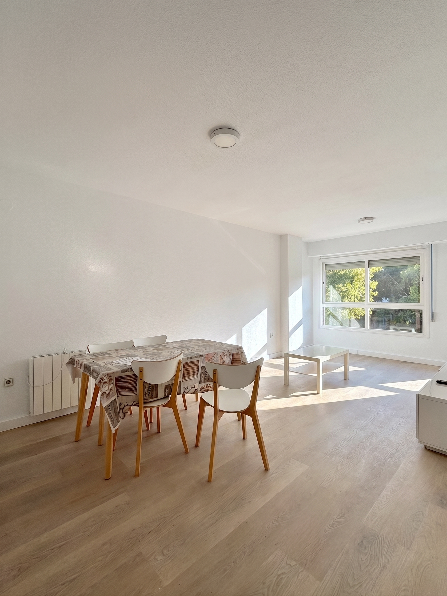 Magnificent, spacious, very bright apartment for rent