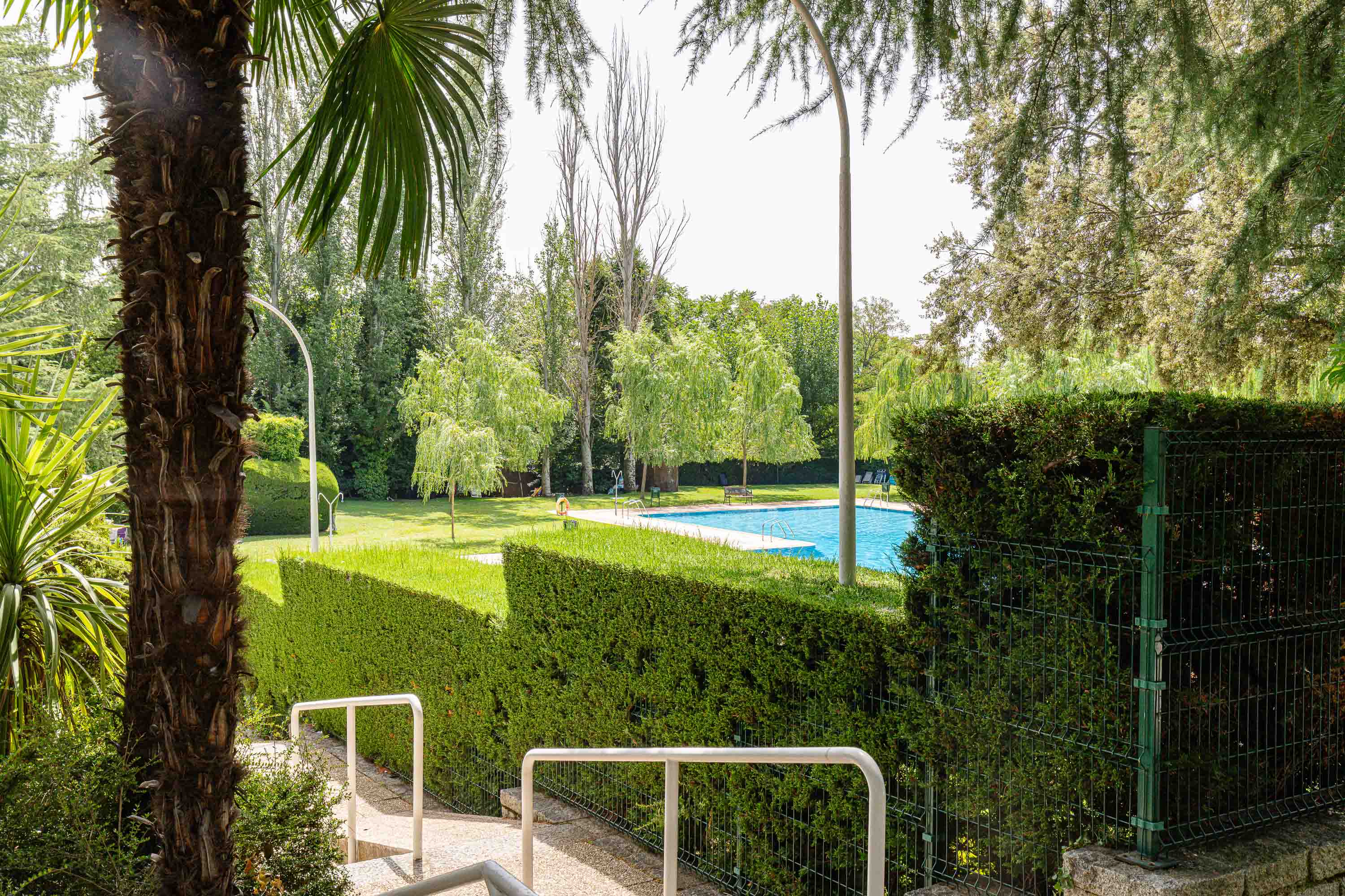 Outdoor swimming pool surrounded by lush green hedges, trees, and a palm tree, viewed from a stone staircase.