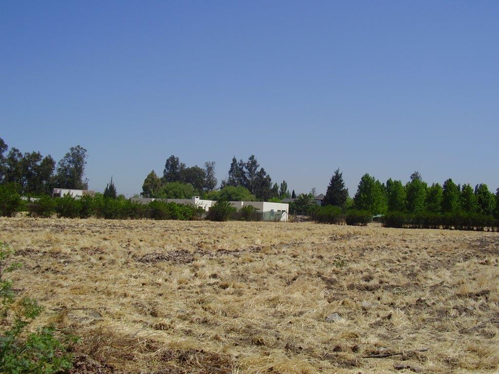Terreno en Algarrobal I