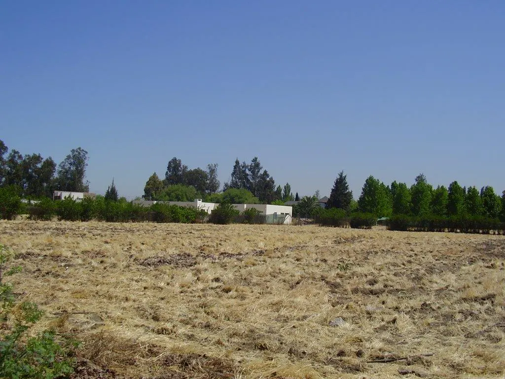 Vacant lot with dry grass under a clear blue sky. Trees and houses are visible in the background.