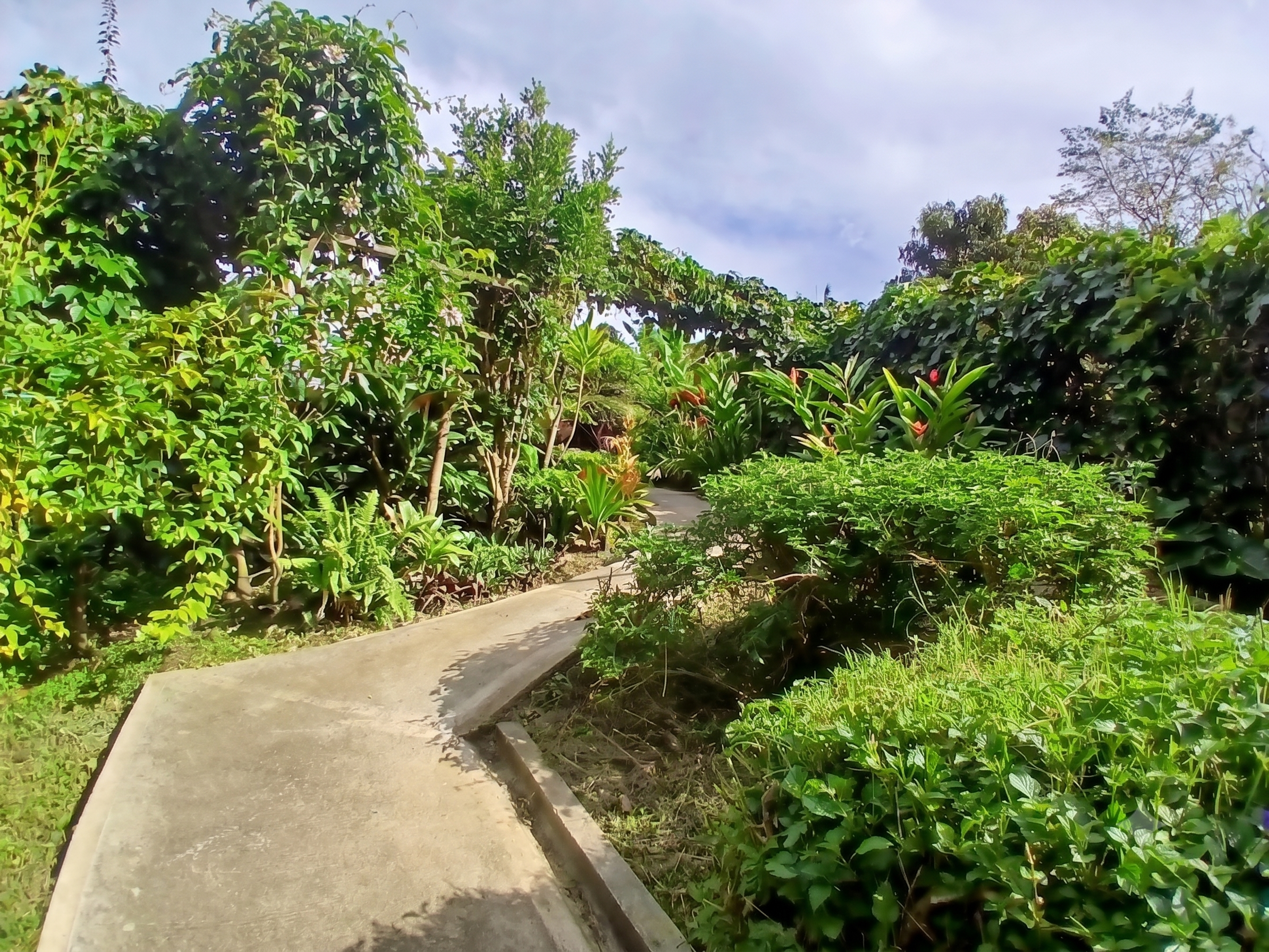 Lote independiente para venta en La Sebastiana, Envigado
