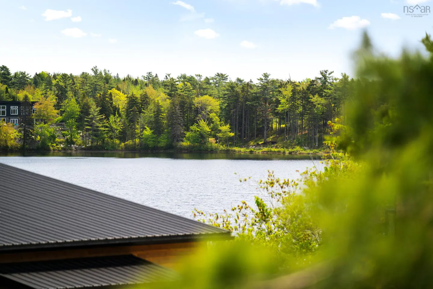 A view of a calm lake surrounded by a lush green forest, seen from above a dark metal roof with blurred foliage in front.