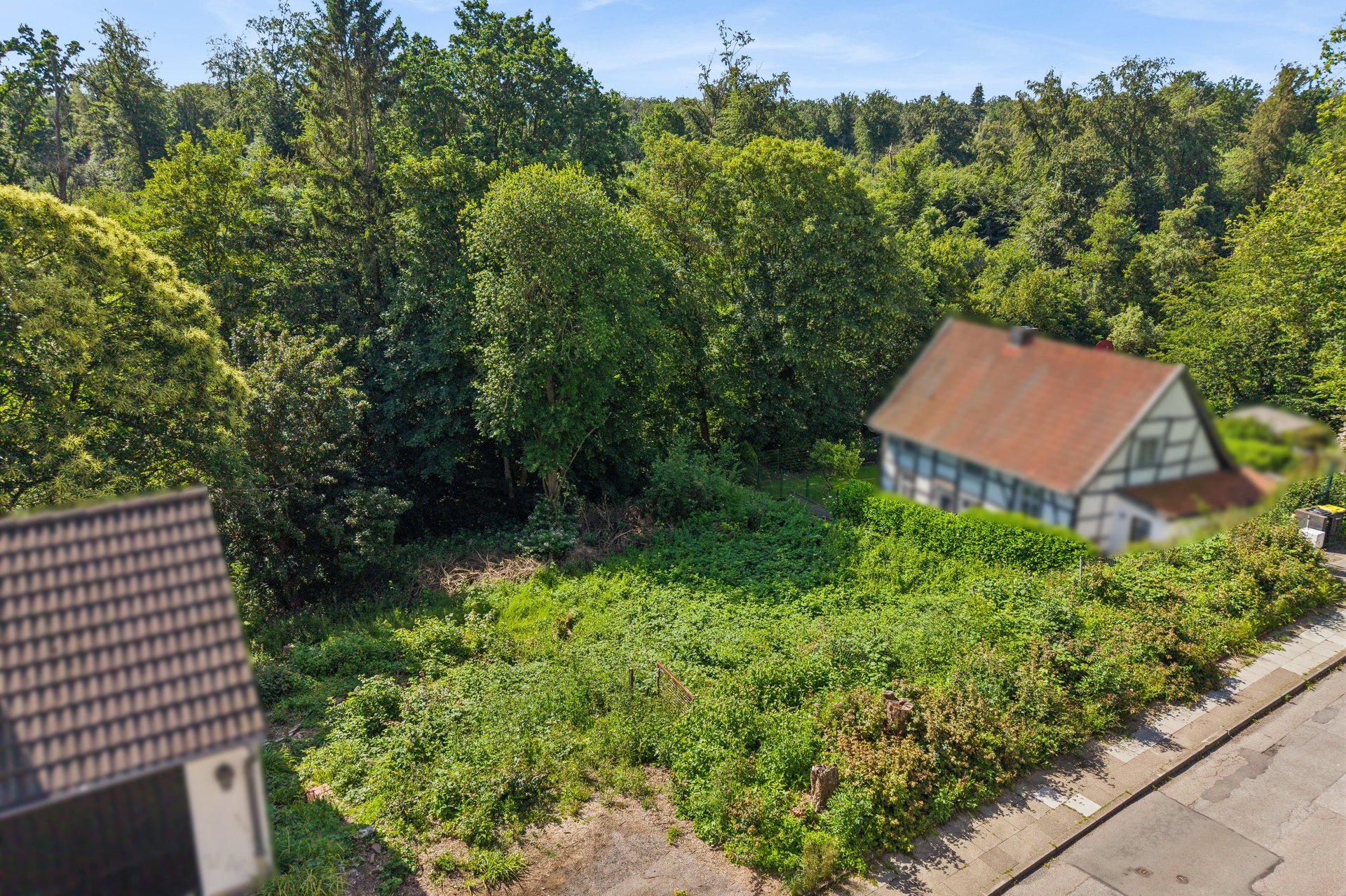 A place where housing dreams take shape – Exclusive southeast-facing hillside plot by Schellenberg Forest