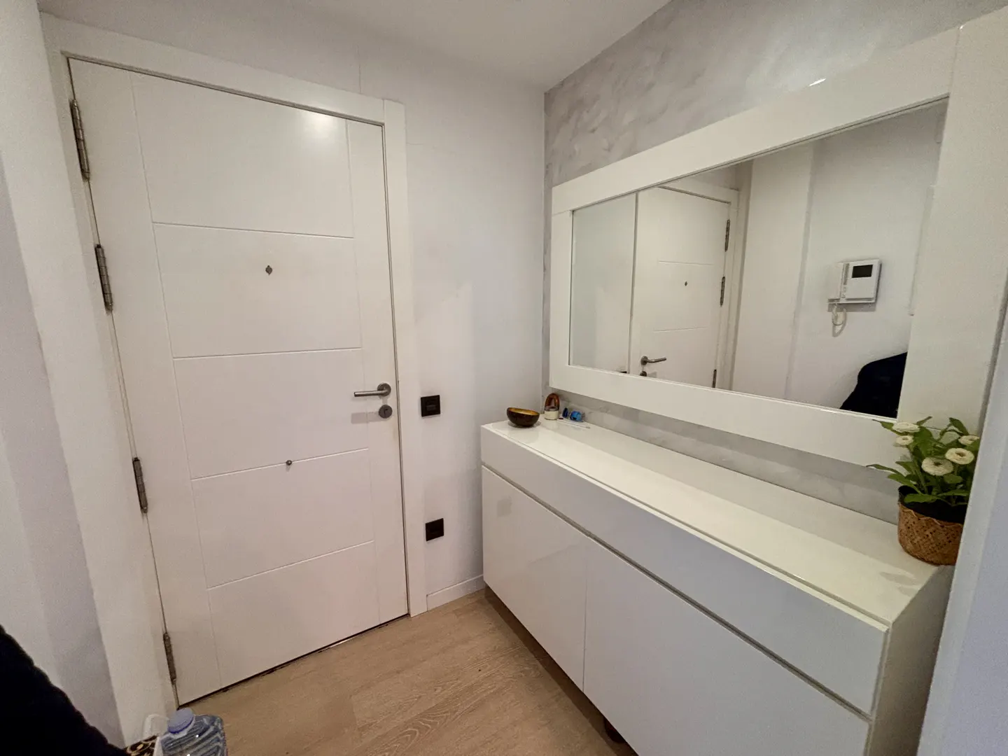 Entryway with a white door, a white cabinet with a mirror, and a plant on top.