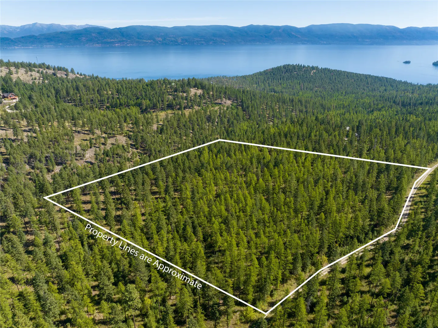 Aerial view of a wooded property outlined in white, with a lake and mountains in the background.