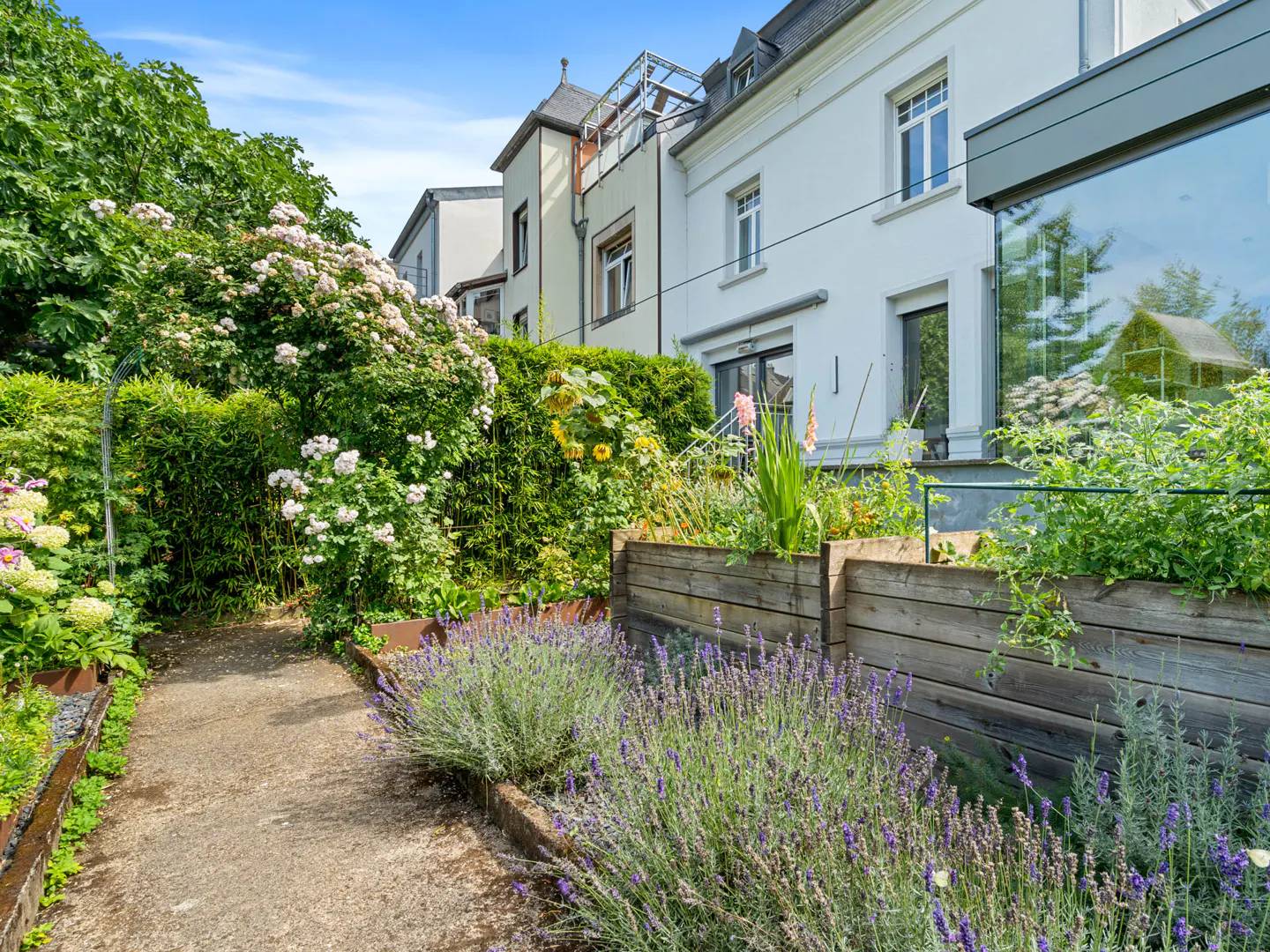 A garden path leads to a white house with a glass extension. Lavender and flowers line the path.