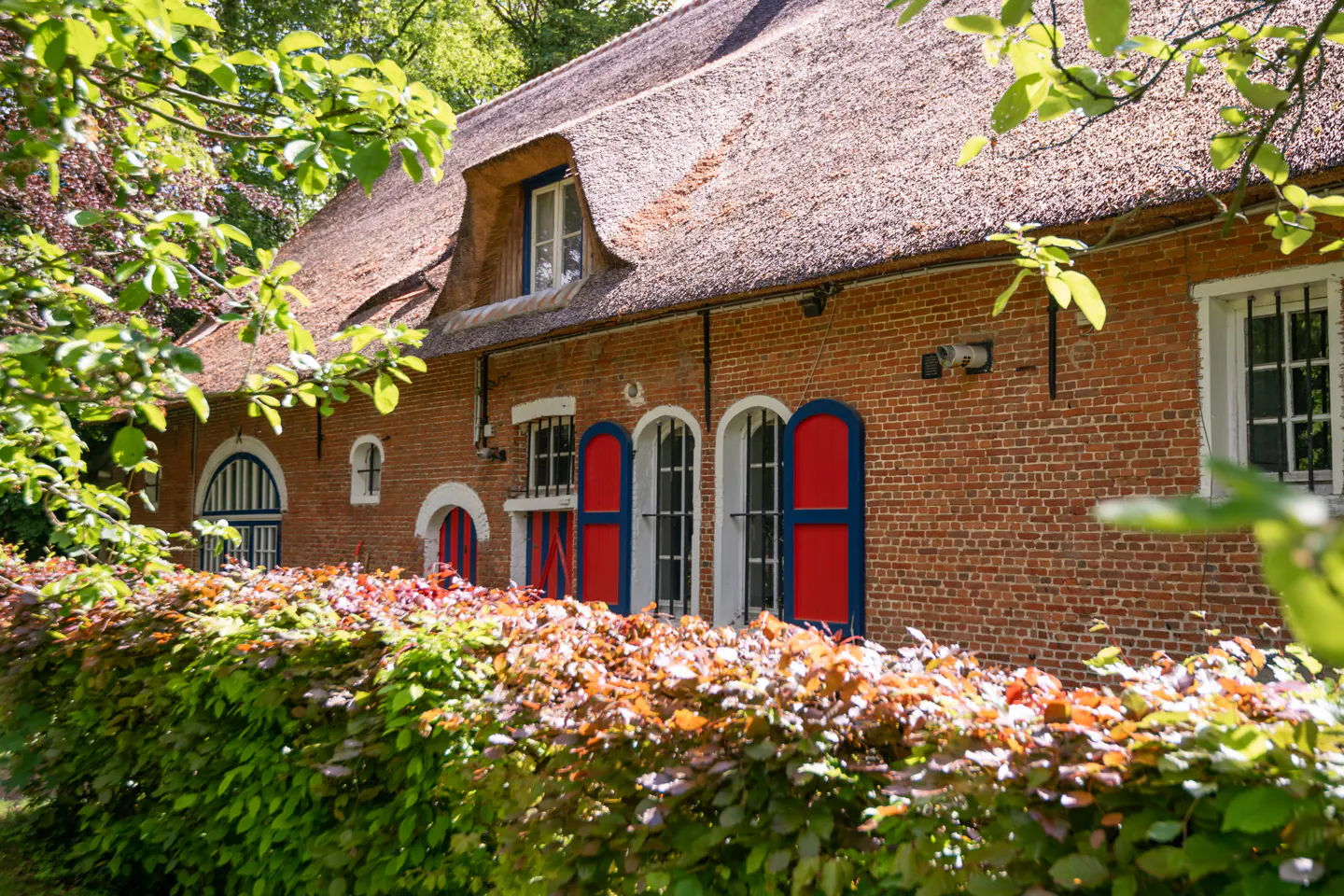 Exterior view of a brick house with a thatched roof, red and blue shutters, and a green hedge in front.