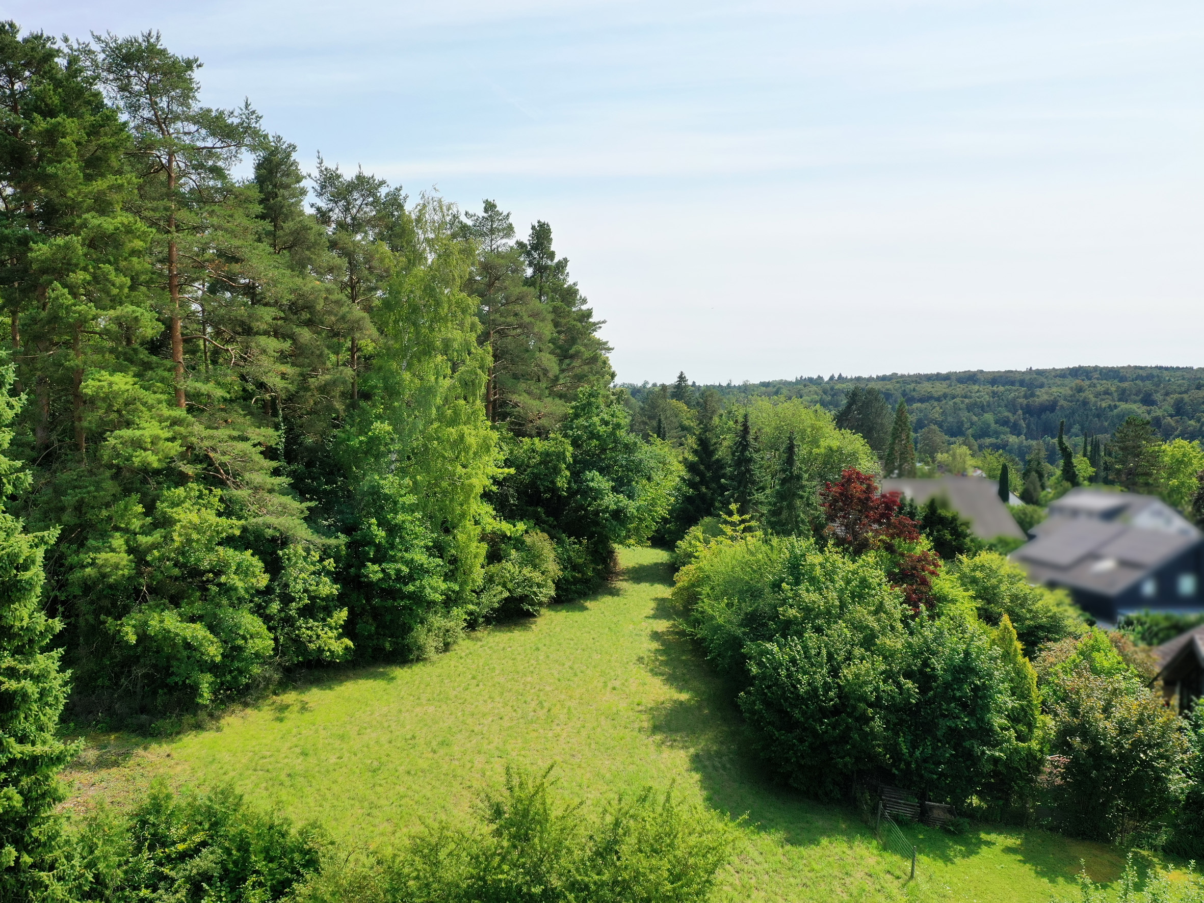 Einzigartiges Villengrundstück am Kapellenberg:  65 a, 1000 m² Wohnfläche, 2 private Auffahrten plus eigener Wald