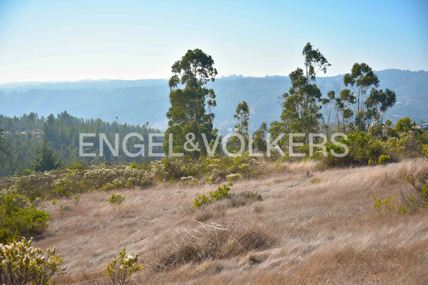 Hilly landscape with dry grass, scattered trees, and distant mountains under a clear blue sky. Engel & Völkers logo overlaid.