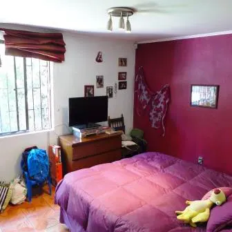 Bedroom with purple bedding, a TV on a wooden dresser, and a window with a red curtain. The wall is white and red.