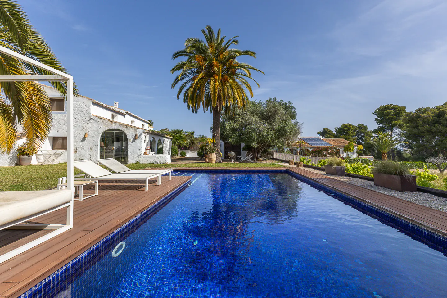 A bright blue pool with a wooden deck, white lounge chairs, and a palm tree in the background.