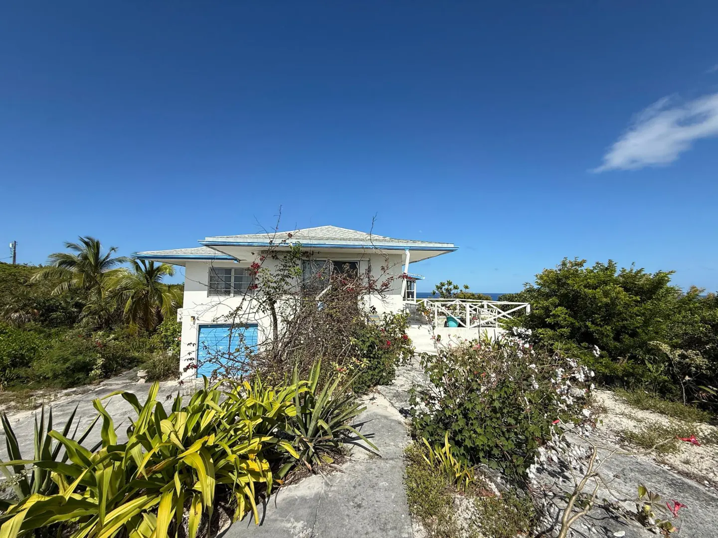 Exterior view of a white house with a blue garage door and trim, surrounded by lush greenery under a clear blue sky.