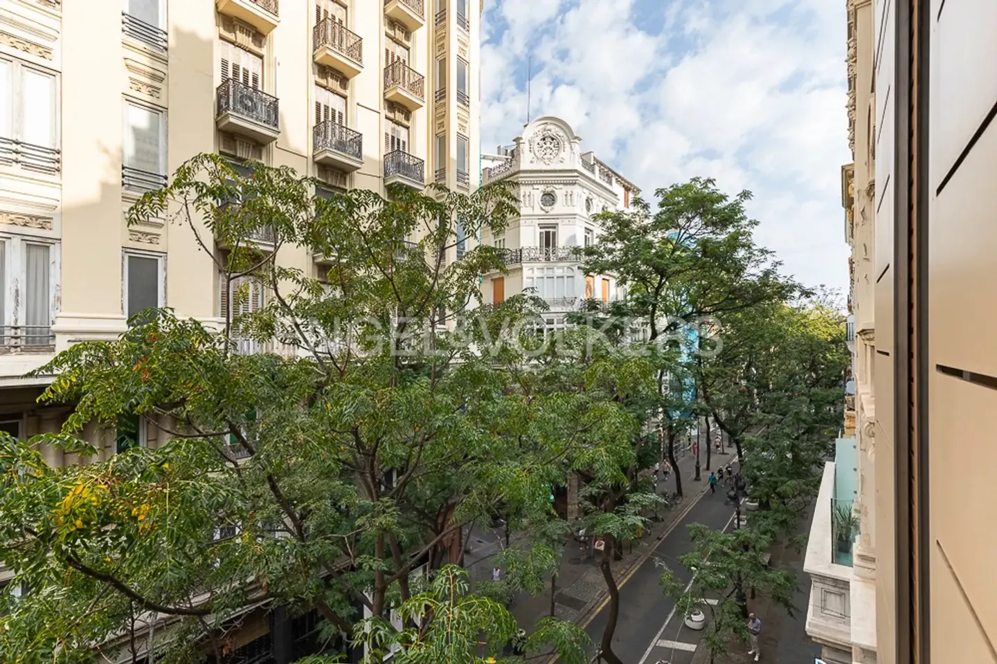 View from a window overlooking a tree-lined street with ornate buildings. The buildings are light-colored with balconies. People walk along the sidewalk.