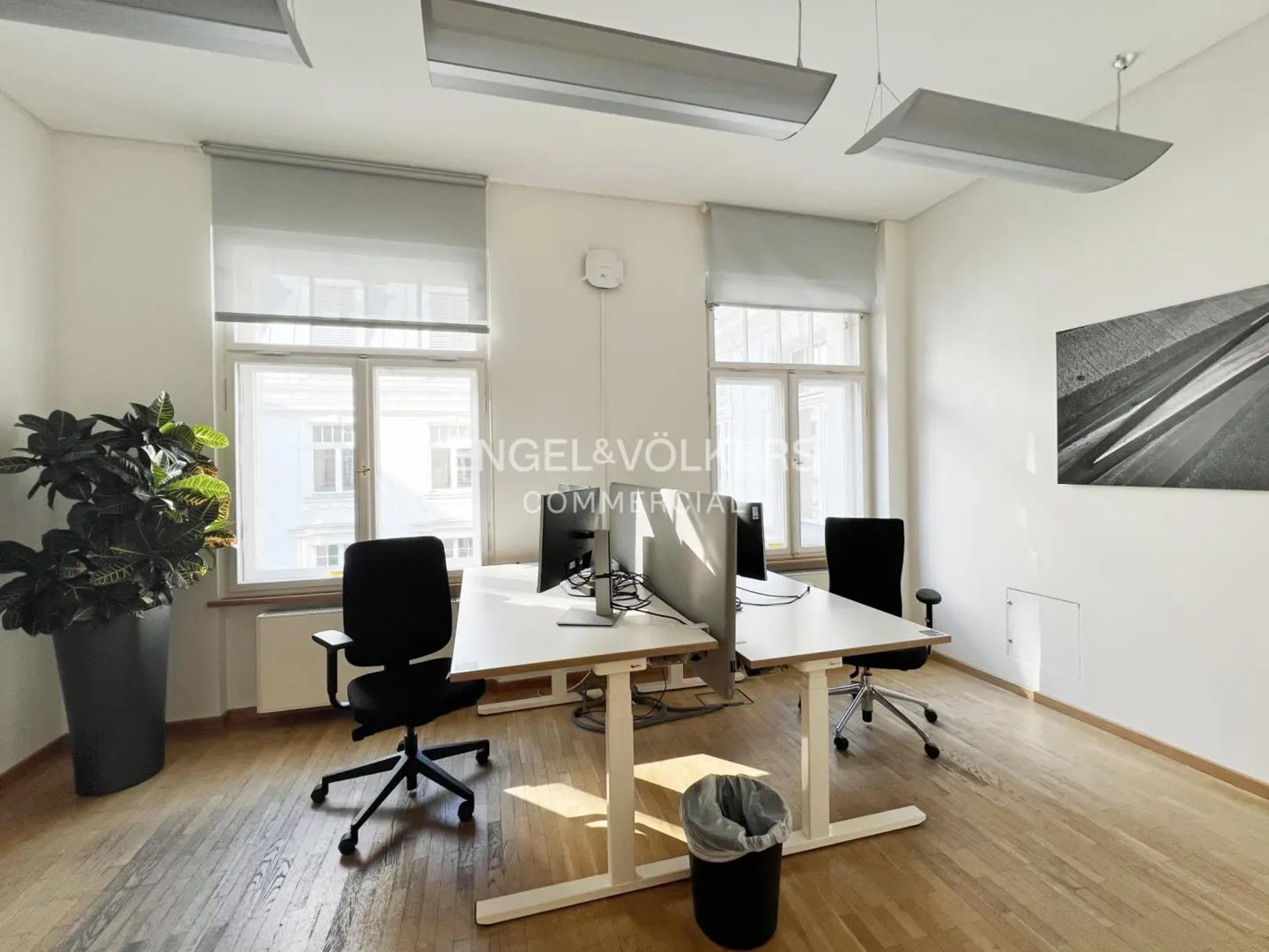 Bright office space with wood floors, white walls, and two desks with black chairs. Windows with blinds and modern lighting fixtures.
