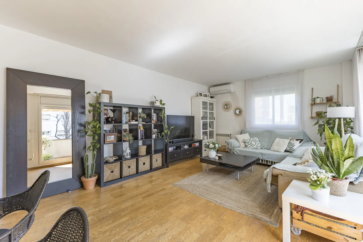 Bright living room with light wood floors, a large black bookshelf, a sofa with throw pillows, and several potted plants.