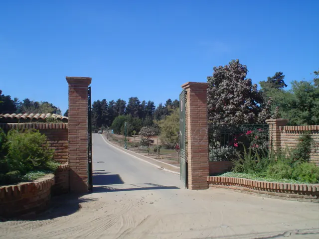 Open wrought iron gates with brick pillars lead to a road lined with trees under a clear blue sky.